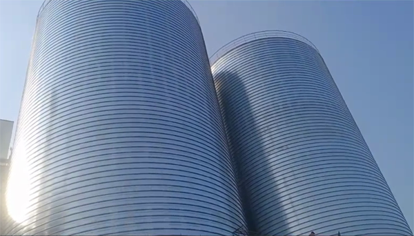 浏阳2座混凝土高架卷板仓